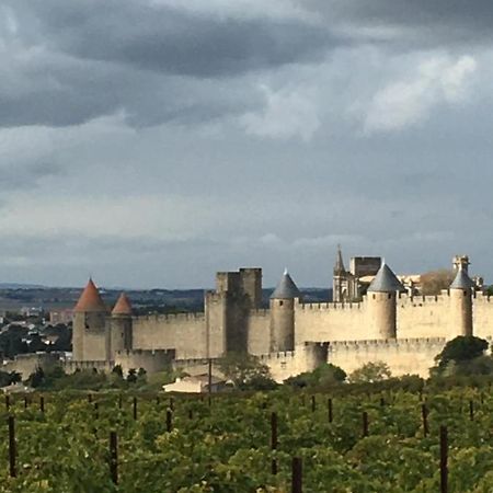 Les Orchidees Apartment Carcassonne Bagian luar foto