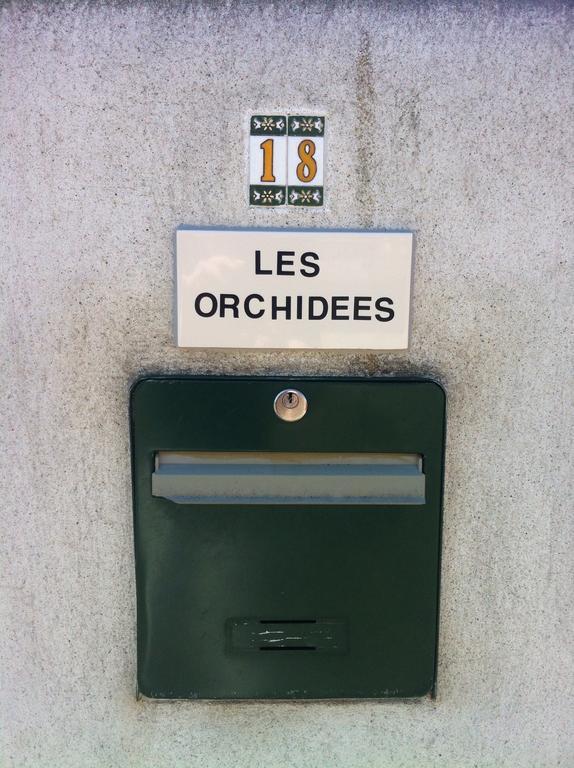 Les Orchidees Apartment Carcassonne Bagian luar foto