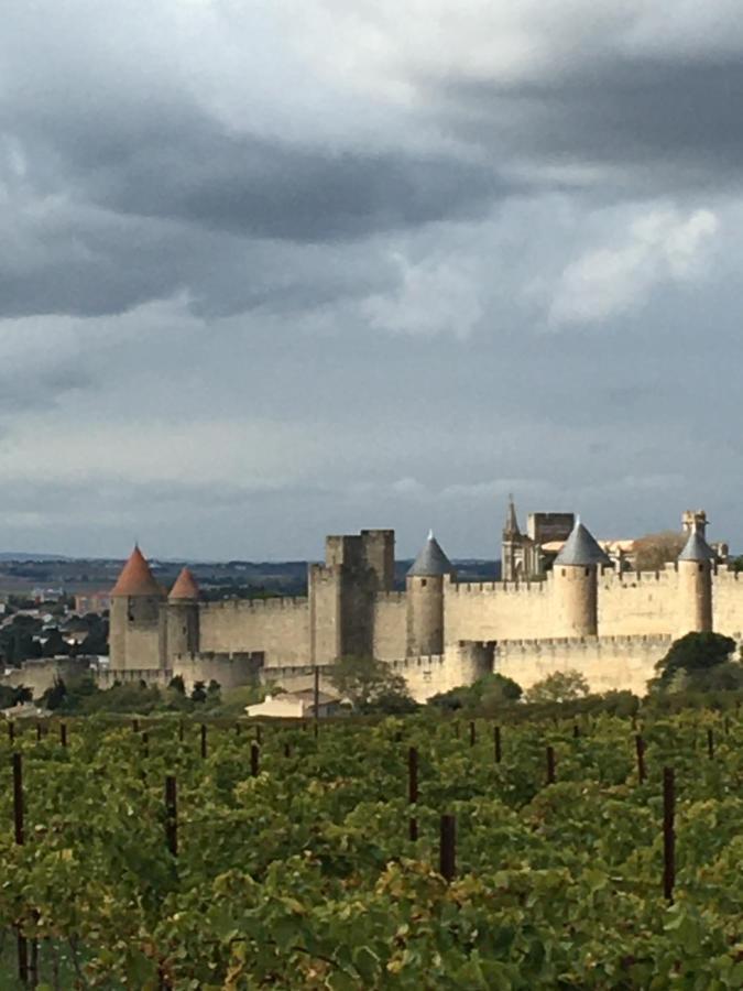Les Orchidees Apartment Carcassonne Bagian luar foto
