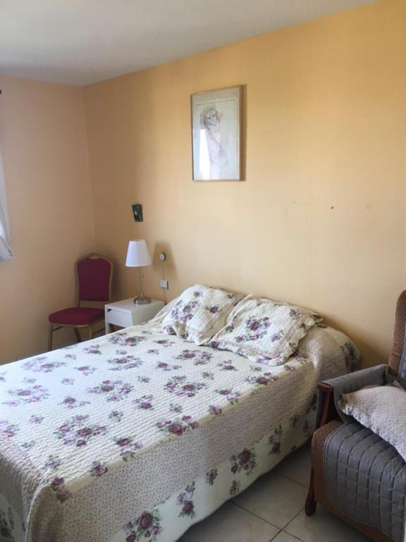 Les Orchidees Apartment Carcassonne Bagian luar foto